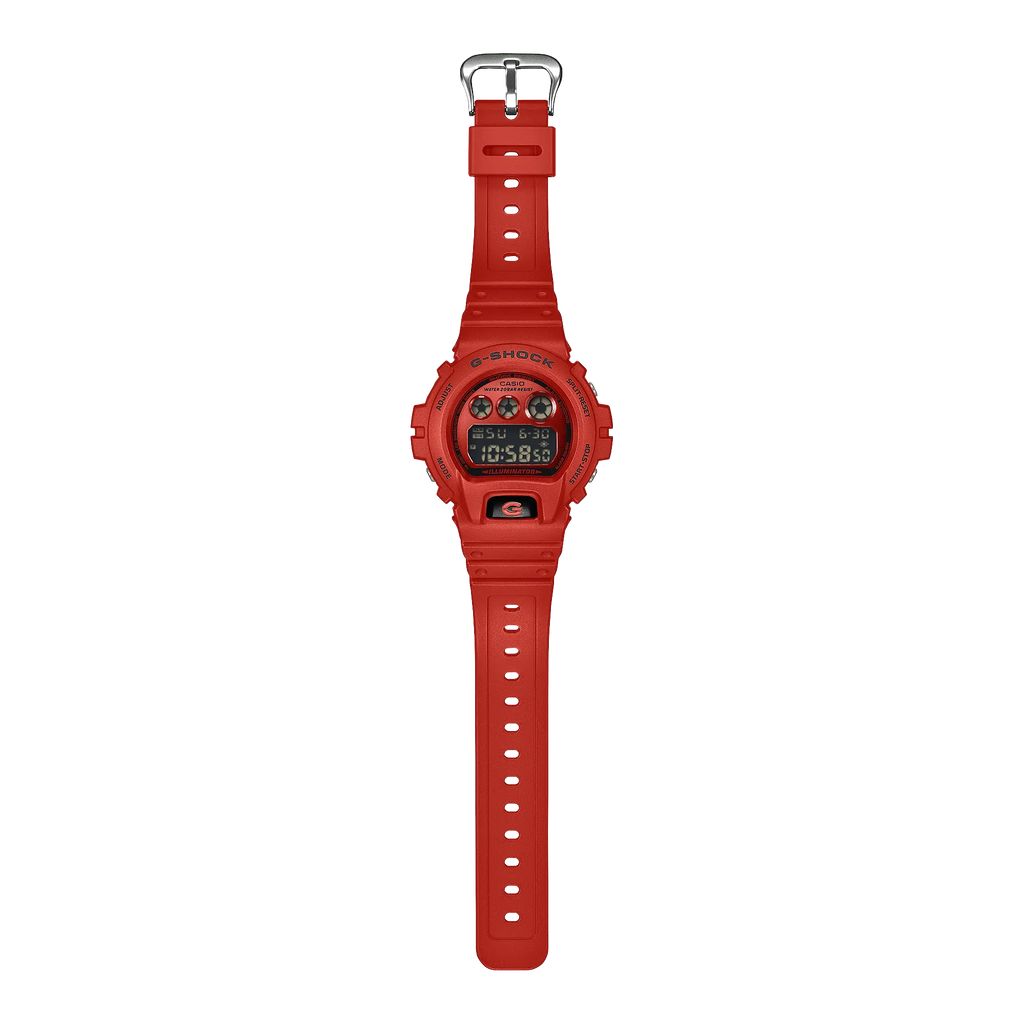 CASIO G-SHOCK WATCH DW-6900RRB-4
