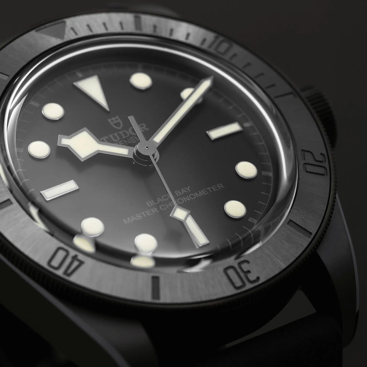 TUDOR Watch Black Bay 41mm M79210CNU-0001