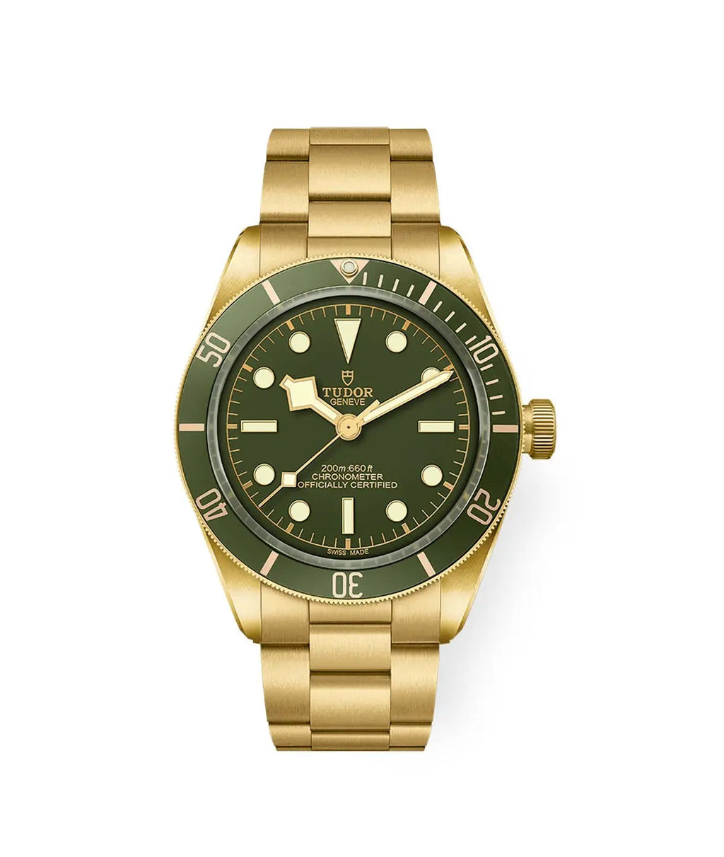 TUDOR Watch Black Bay 58 18K 39mm M79018V-0006