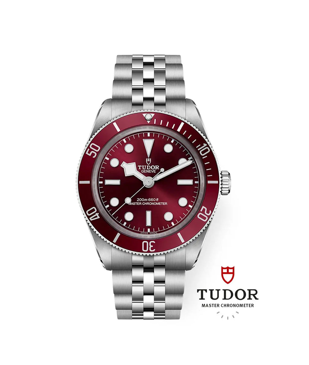TUDOR Watch Black Bay 58 39mm M7939A1A0RU-0001