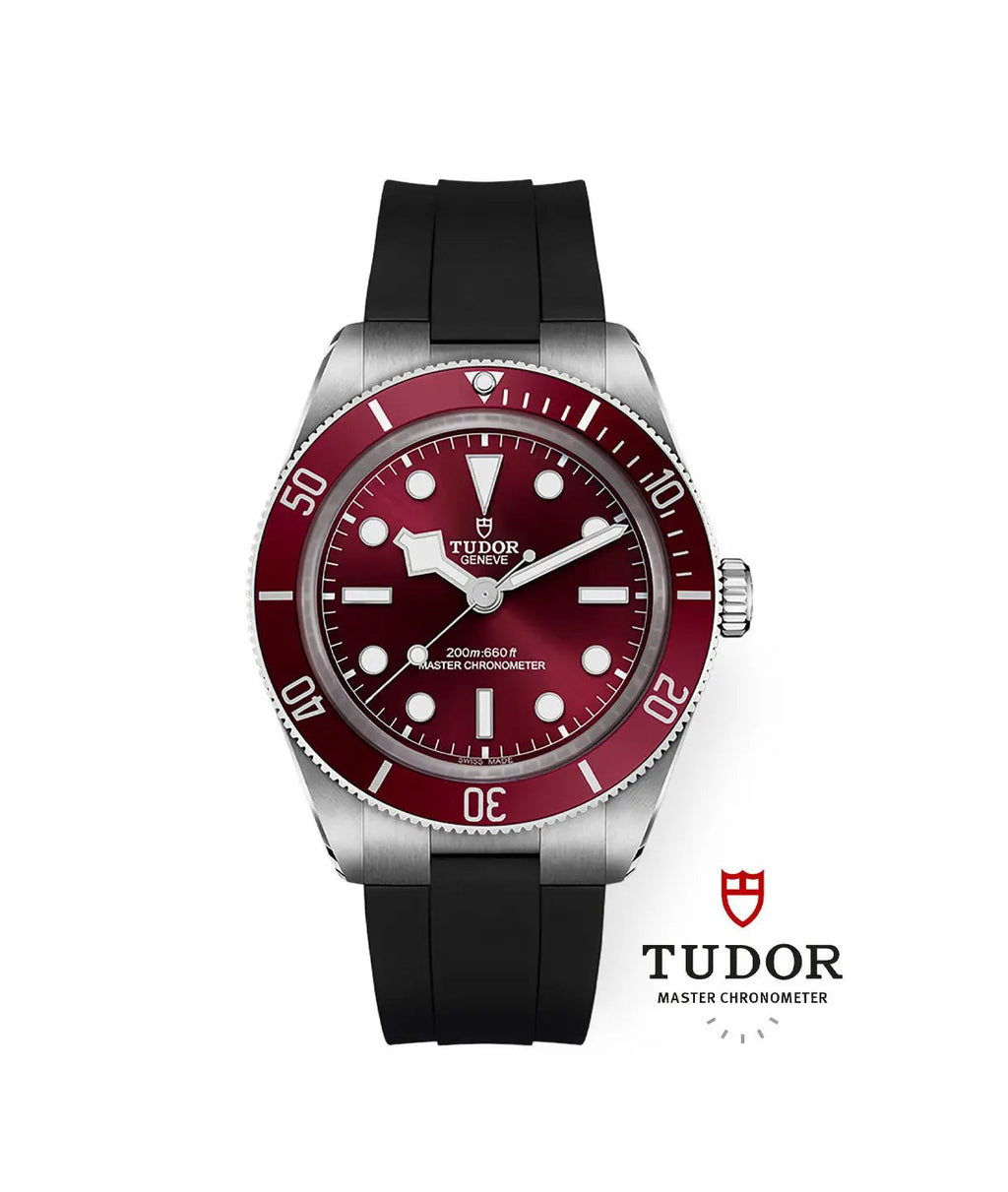 TUDOR Watch Black Bay 58 39mm M7939A1A0RU-0003