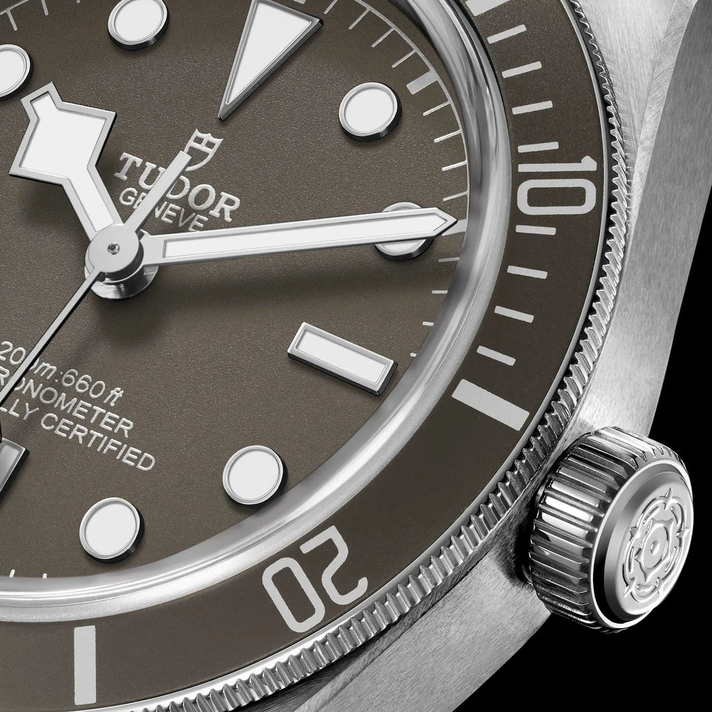 TUDOR Watch Black Bay 58 925 39mm M79010SG-0001