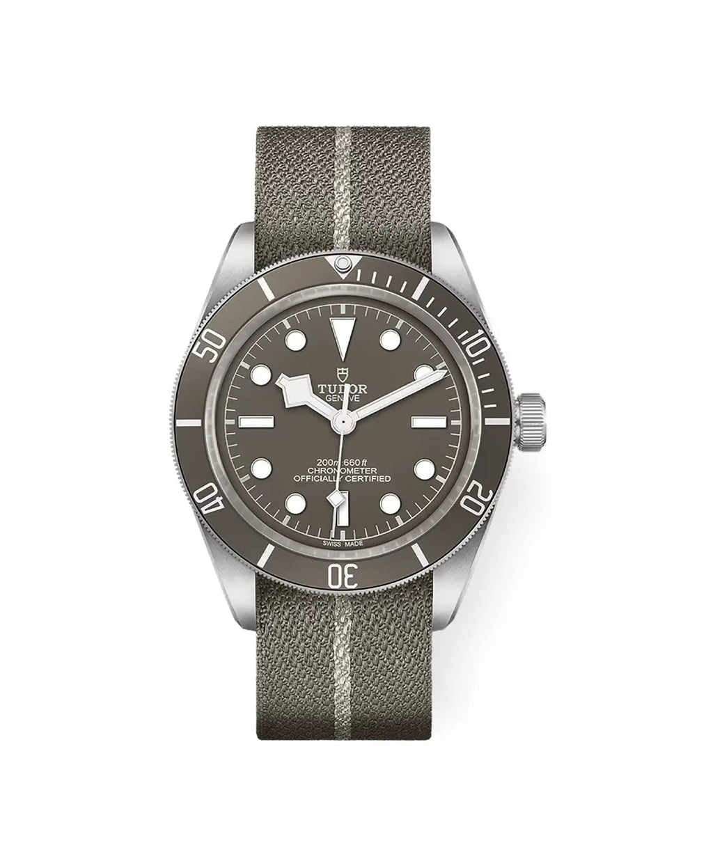 TUDOR Watch Black Bay 58 925 39mm M79010SG-0002