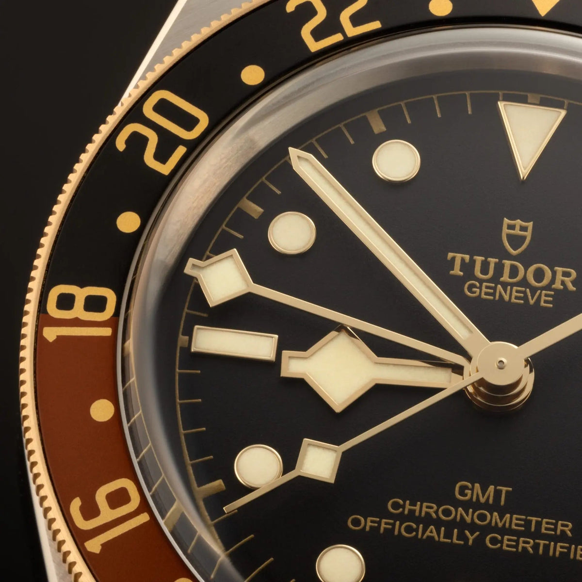 TUDOR Watch Black Bay GMT S&G 41mm M79833MN-0001