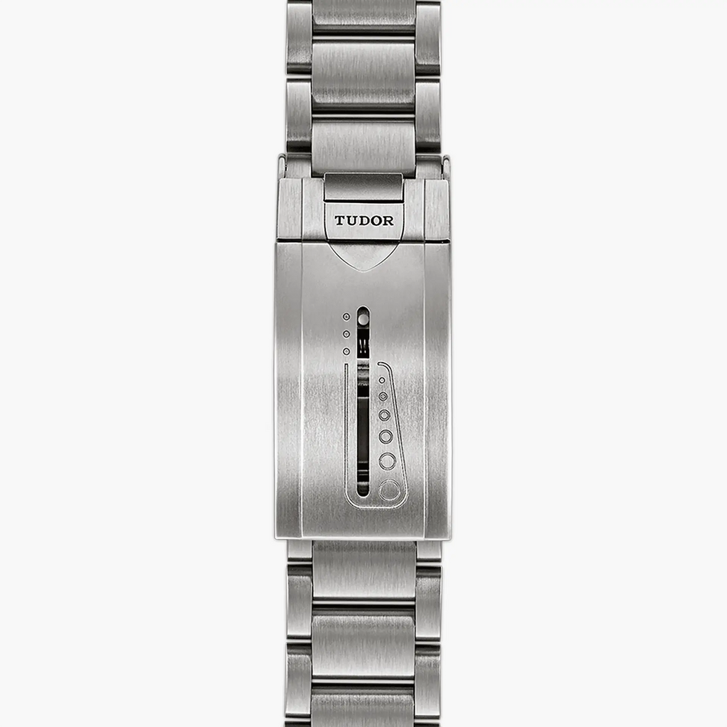 TUDOR Watch Pelagos 42mm M25600TN-0001